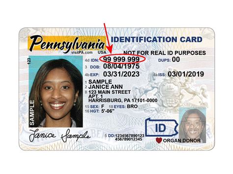 what's my state id number.